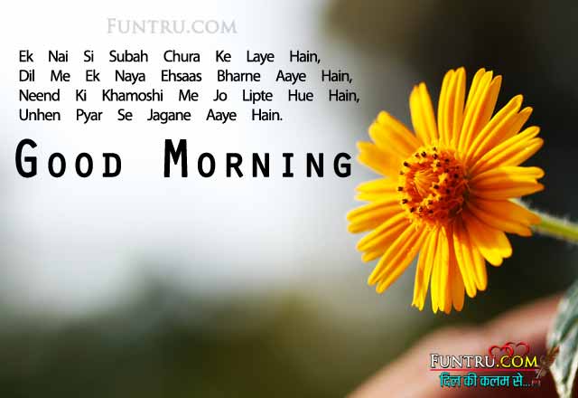 yellow flower morning sms